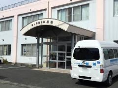 銀楊