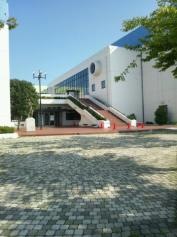 羽生中央公園