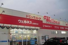 ドラッグストアウェルネス　出雲駅北店