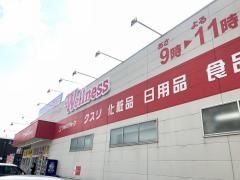 ドラッグストアウェルネス　出雲駅北店