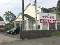 フラワー薬局　あさがお店