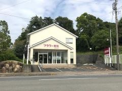 フラワー薬局　あさがお店