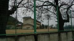 後閑小学校