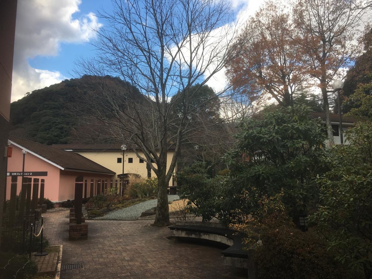 全景1