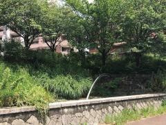東芳野街園