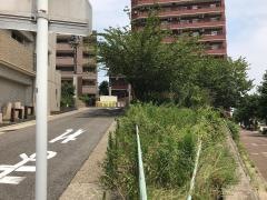 東芳野街園