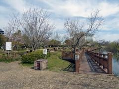 みさき自然公園（美崎公園）