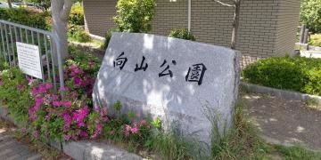 向山公園
