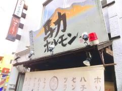 馬力ホルモン