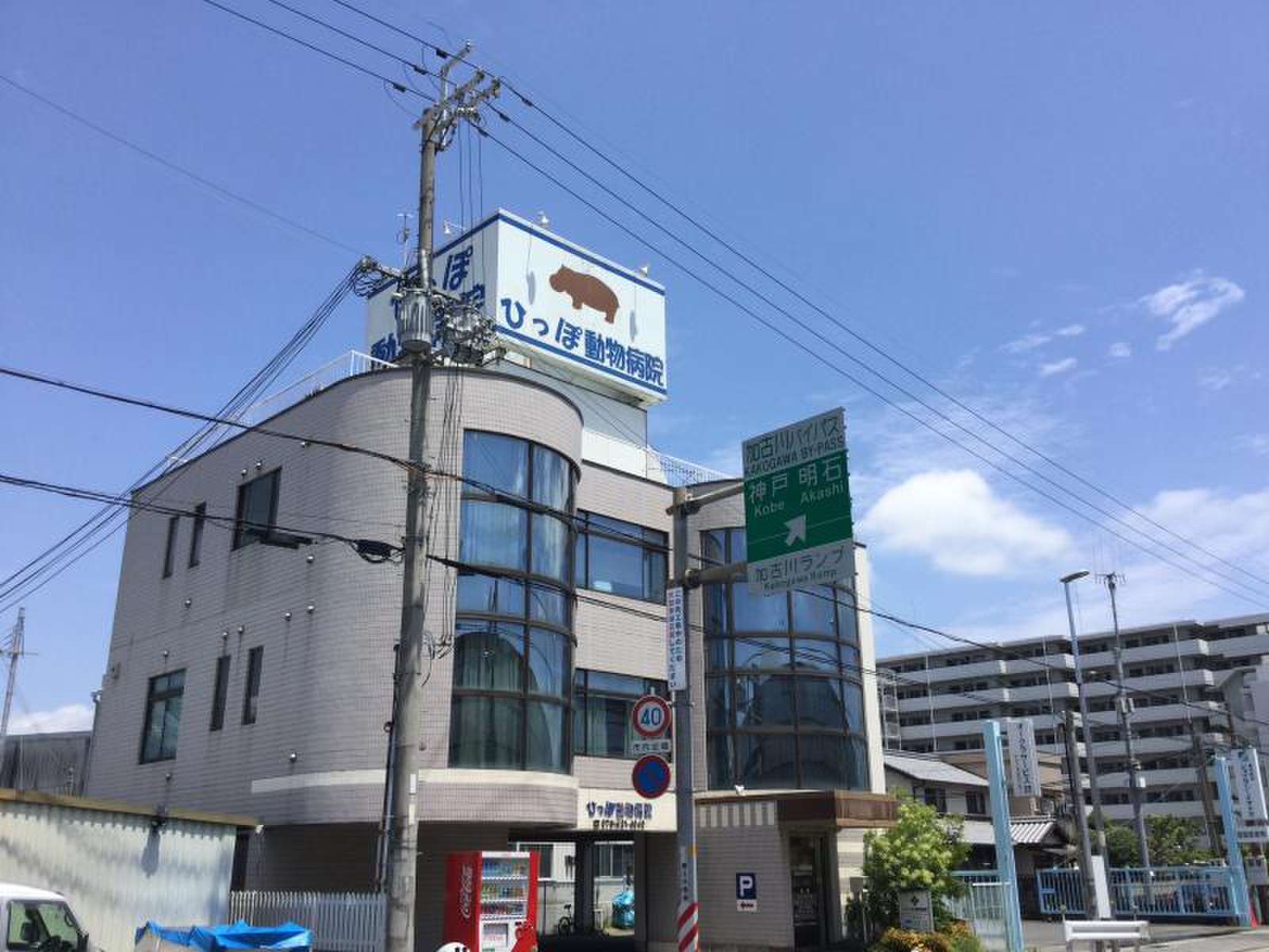ひっ ぽ 動物 病院