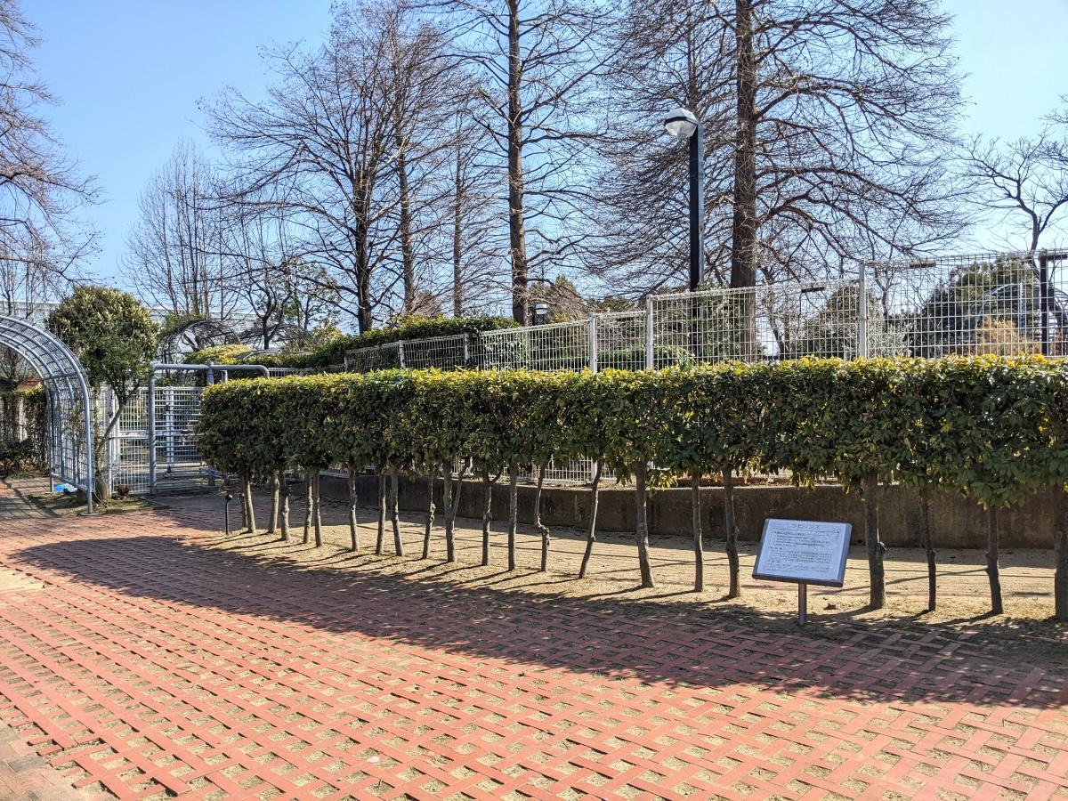 堺市都市緑化センター