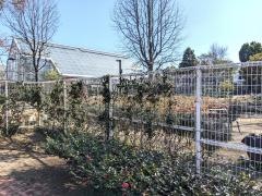 堺市都市緑化センター