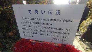 沖ノ島宇賀大明神社