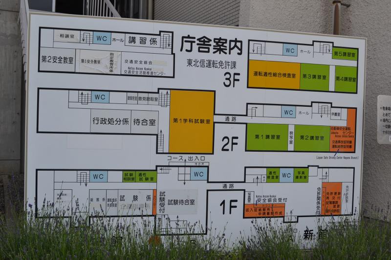 活動歴および当時の関連ビジュアル記録
