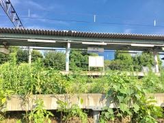 島本駅