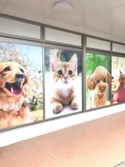 中部動物医療センター