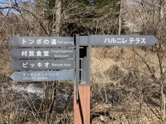ハルニレテラス