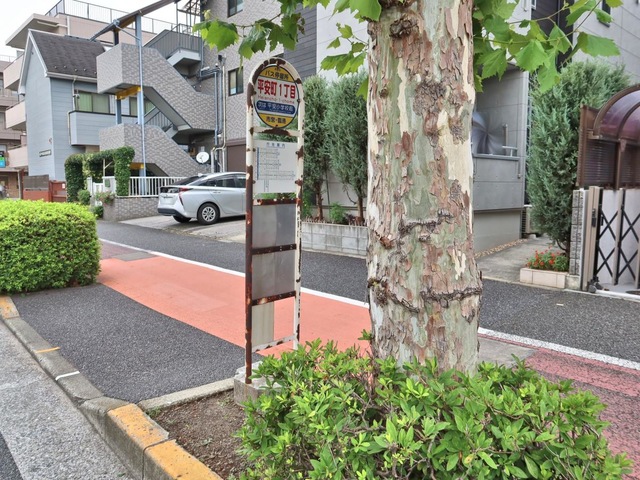 投稿写真4