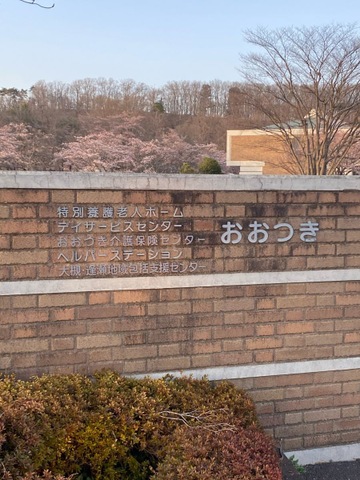 おおつき