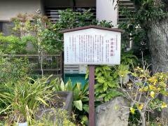 妙蓮寺