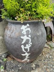 おかげさん