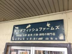 ヨシダフィッシュファームズ