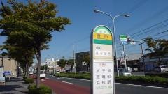 「菅原」バス停留所