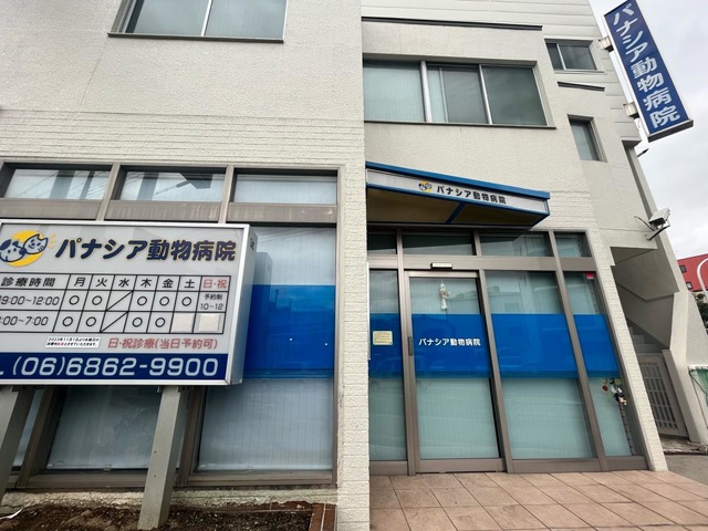 投稿写真6