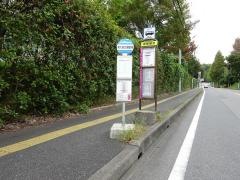 「東大総合運動場」バス停留所