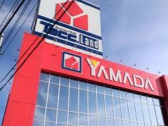 ヤマダ電機　テックランド横芝光店