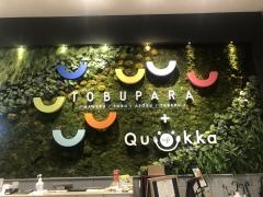Ｃａｆｅ　Ｑｕｏｋｋａ