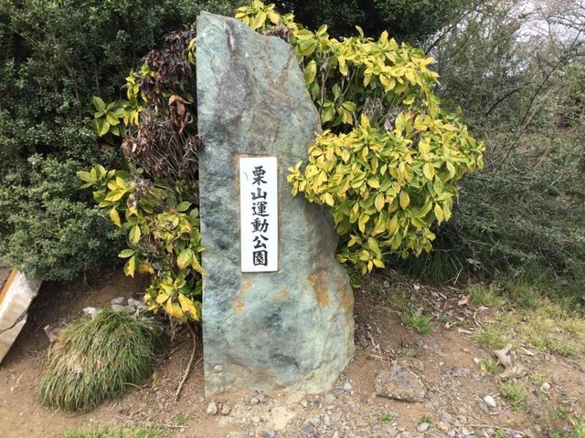投稿写真4