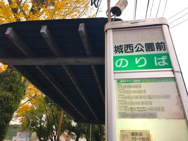 投稿写真6