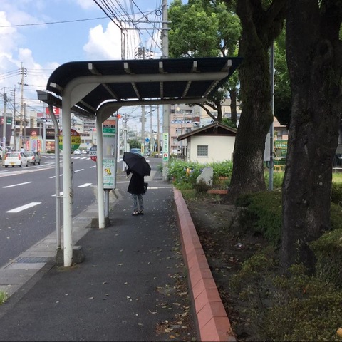 投稿写真7