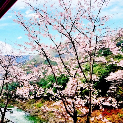 投稿写真7