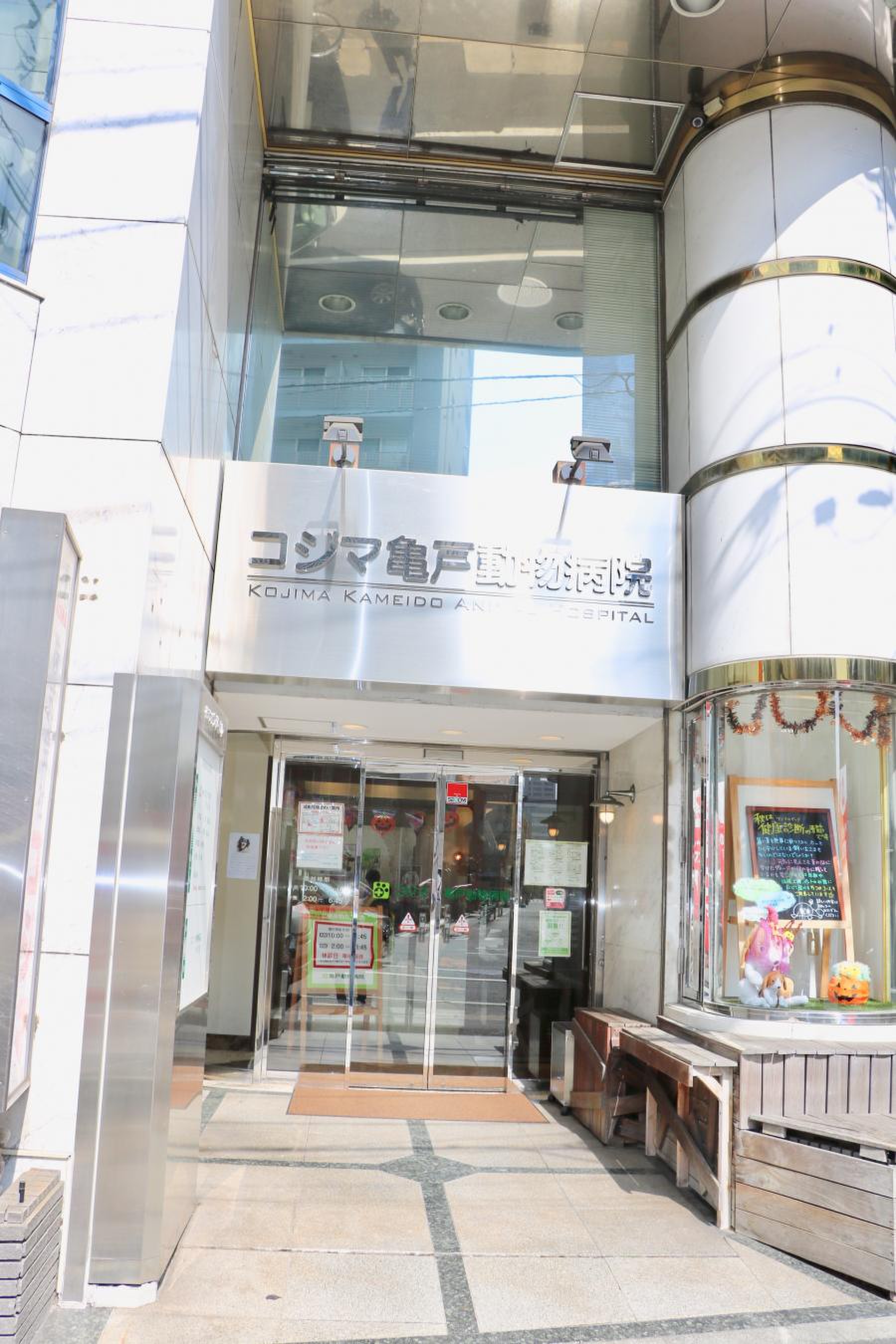 コジマ 亀戸 動物 病院