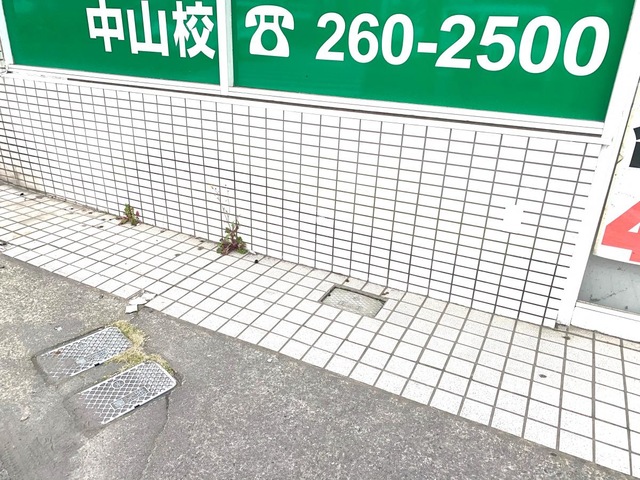 投稿写真7
