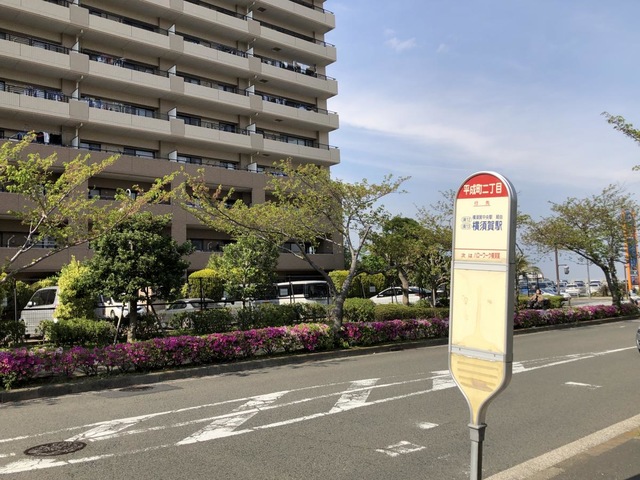 投稿写真5