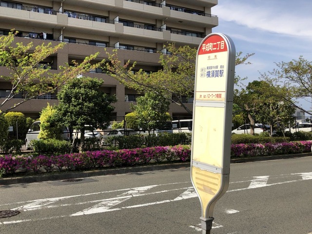投稿写真2