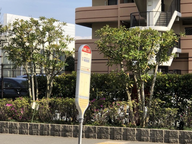 投稿写真1