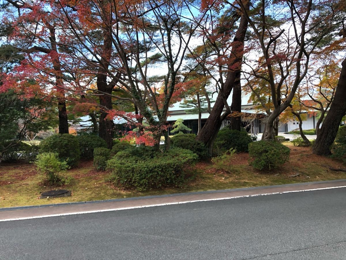 紅葉越しの美術館