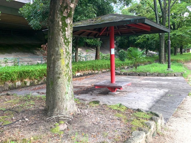 投稿写真1