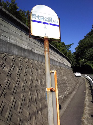 投稿写真7