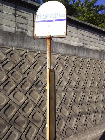 投稿写真3