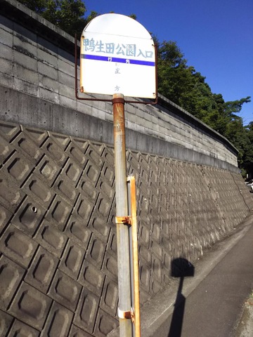 投稿写真1