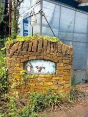 倉富桂城果樹園