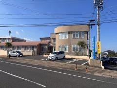 秋桜畑