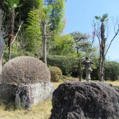 豊泉寺の庭園