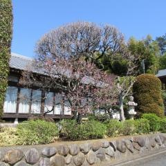 豊泉寺の庭園