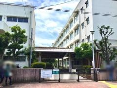 大綱小学校